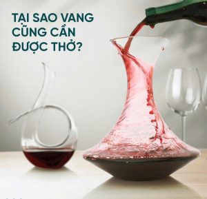 Ruou-vang-rot-vao-decanter-se-ngon-hon